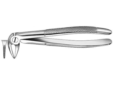 Pince pour extraction Davier acines inférieures grand modèle img
