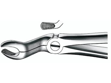 Pince pour extraction Davier dents de sagesse supérieures 18|28 img