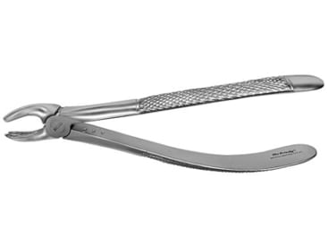 Davier molaires supérieures droite img