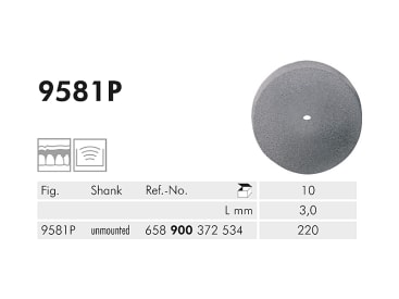 9581 P 220 disc à polir img