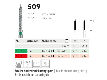 509 G FG 014 instrument diamanté img