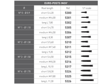 Pivot radiculaire Euro-Post inox img