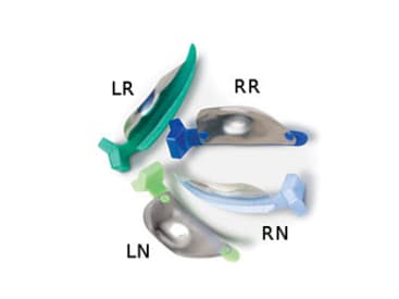 Tandheelkundige sectionale matrijzen FenderMate matrijs ø 0,05mm img