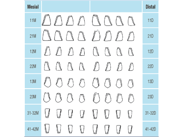 Tandheelkundige sectionale matrijzen CoForm transparant matrix img