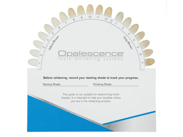 Accessoires Teintier Opalescence img
