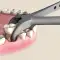 HF Forceps #23 Atraumair Cowhorn Lower Molars A45494 img