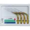 Satelec IrriSafe IRR 25-21 ø25mm 21mm 1x4 1544 img
