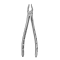 HF forceps #1 Atraumair Apical Upper Incisors A46254 img