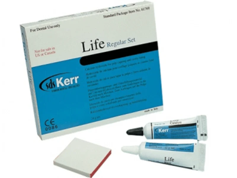 Kerr Life calciumhydroxide regular 2x12g 61769 A07294 img