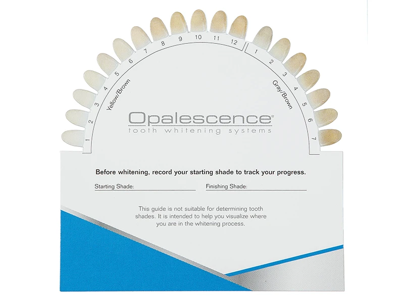 UP Opalescence Shade Guide Card 1x50 A50690 img