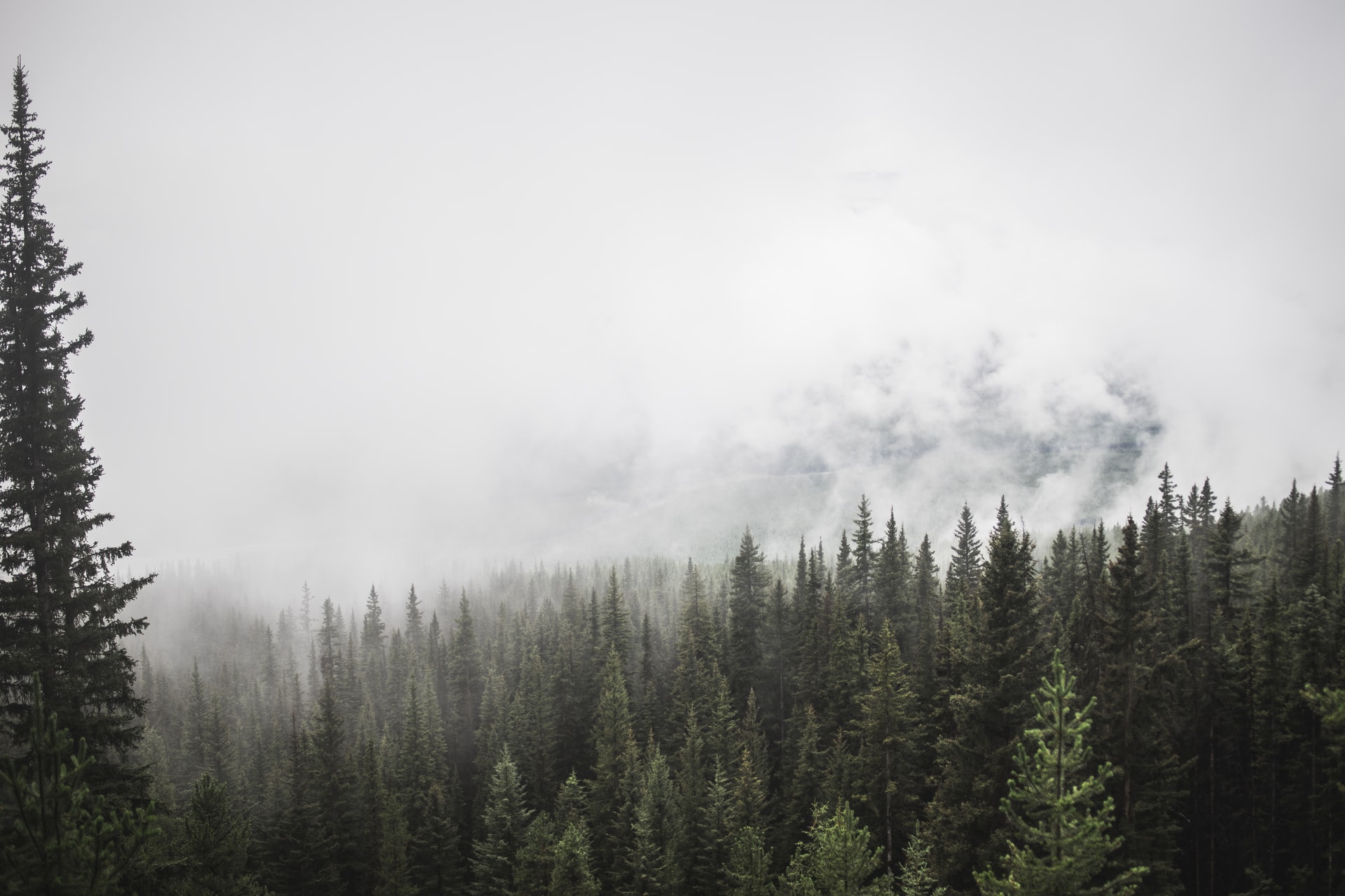 mountain news