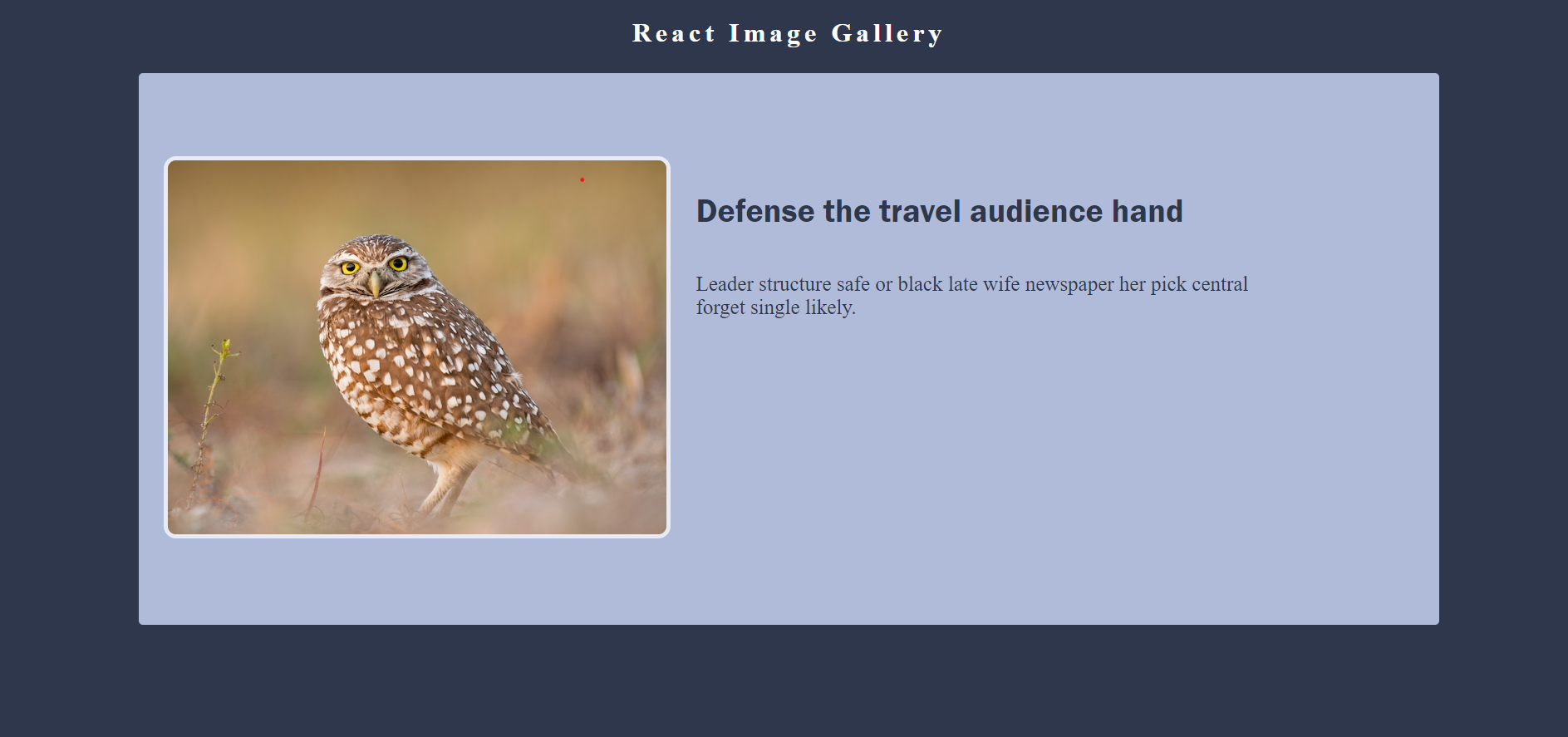 Image-Details Page Image-Details page