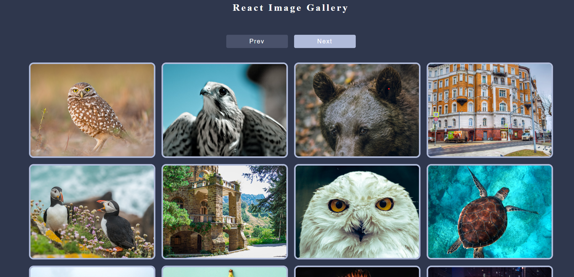 Home Page Home Page