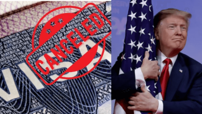 Trump administration Cancels Over 6,000 International Student Visas: Report