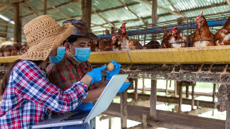 High-Tech Maps and Ancient Farming Wisdom Combine to Tackle Myanmar's Food Crisis