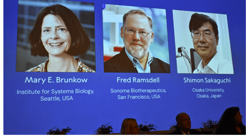 Nobel Prize in Medicine 2025 Awarded for Key Discoveries in Immune System Regulation