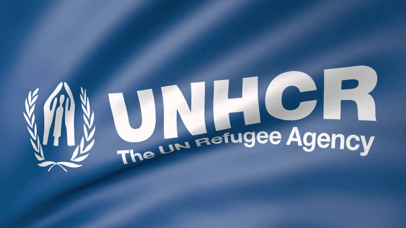 Suspicious Voluntary Repatriation? Rohingyas Return to Myanmar Amid Unclear Assurances and Armed Group Control