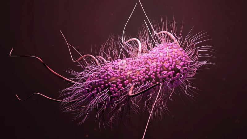 Drug-Resistant ‘Superbug’ Detected in Malaysian Hospital Sparks Global Health Concerns