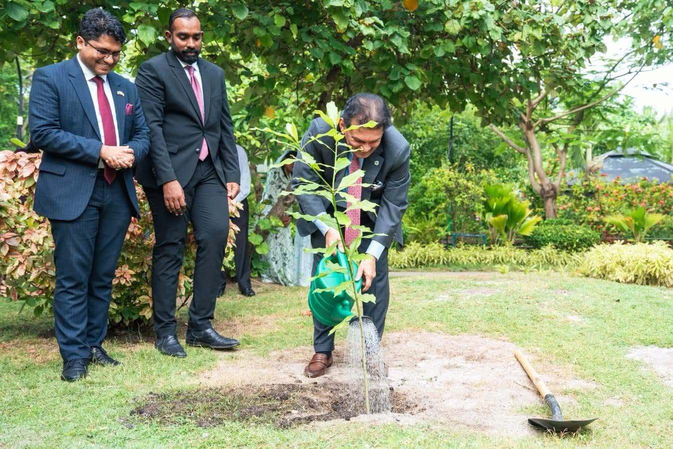 Bangladesh, Maldives highlight shared climate commitment through tree-planting initiatives