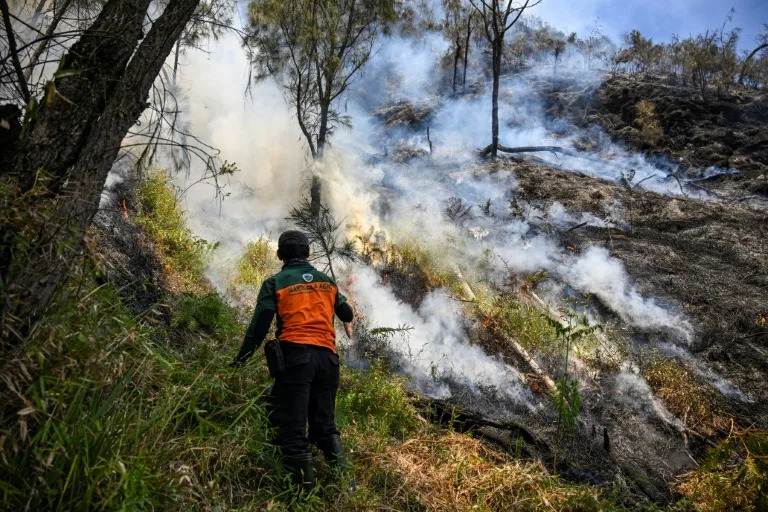 Indonesia races to contain fires as haze spreads across region