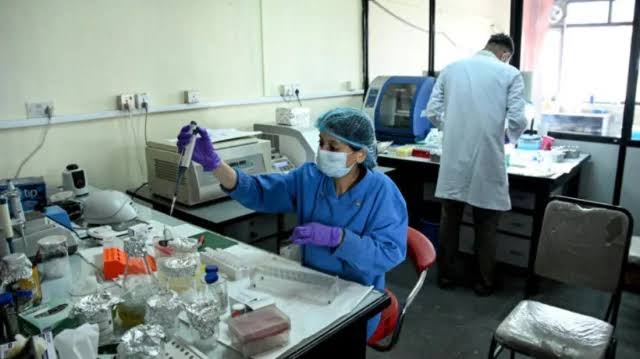 Nepal faces grim DNA puzzle to identify flood dead : AFP 