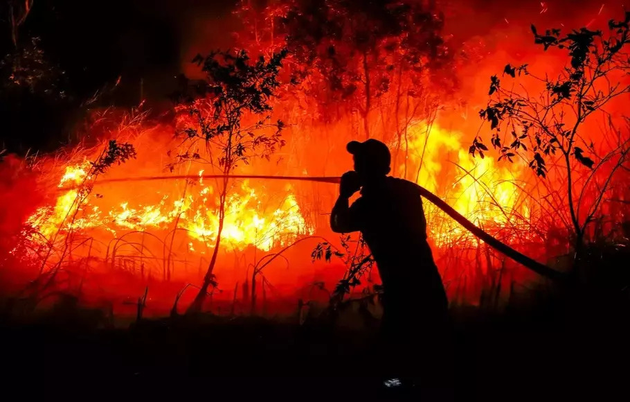 Indonesia Peatland Fire Destroys Nearly 300 Homes, Forces 1,000 to Flee