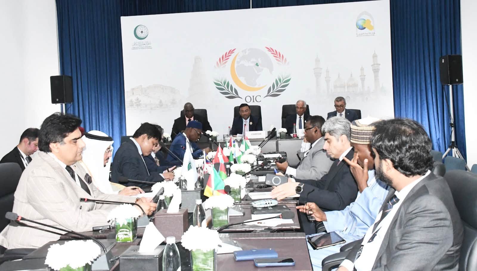 OIC Reaffirms Support for Rohingya Genocide Case at ICJ