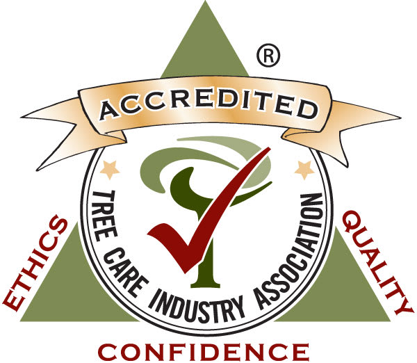 TCIA Accredited Company logo