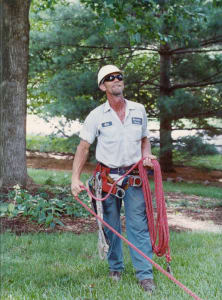 Hiring Tree Trimmers