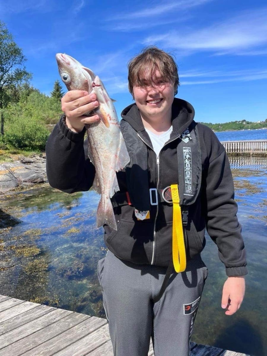 Hyse