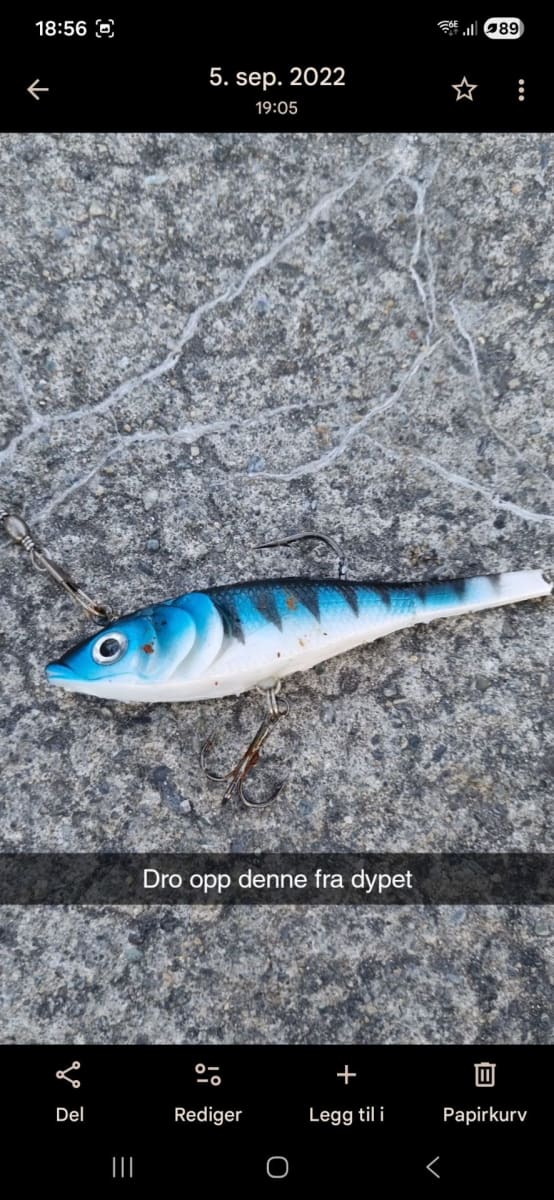 Albacore tunfisk