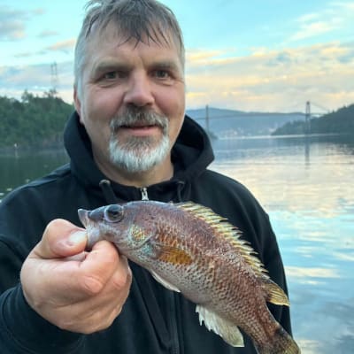 Magnar Ulvatn