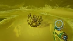 How to Find Axum Bacterial Culture in Subnautica 2: 2026 Guide
