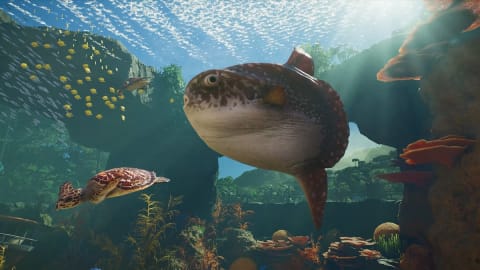 Planet Zoo 2 Confirmed for 2026 Release: New Features and Aquatic Animals