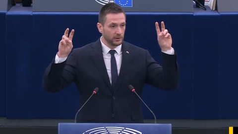 Assassin's Creed Shadows EU Parliament Debate: 2026 Political Update