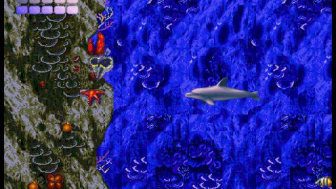 The Ocean’s Hardest Game is Back: The Original Ecco Team Returns