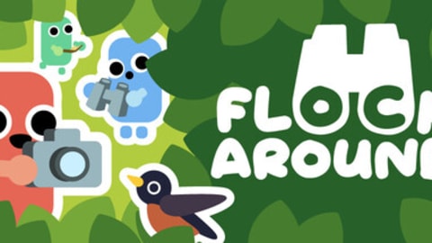 Flock Around Release Date and Gameplay Details for PC Players in 2026