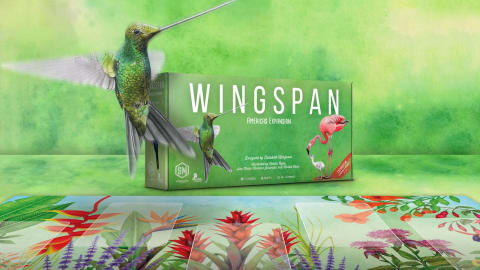 Wingspan Americas Expansion Review: Is It Worth Buying in 2026?