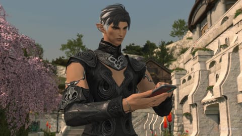 Final Fantasy 14 Community Faces Backlash Over AetherLove Dating Plugin