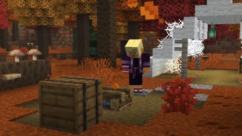 Minecraft 26.3 Snapshot Adds Dappled Forest Biome and Poplar Trees