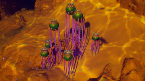 How to Find Necrolei Cyst and Craft Strong Acid in Subnautica 2 (2026)