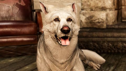 Fallout 76 Pets Can Finally Join Your Adventures in New PTS Update