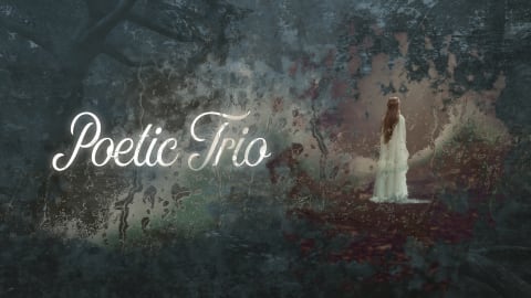 Poetic Trio Review: Atmospheric Exploration Arrives in 2026
