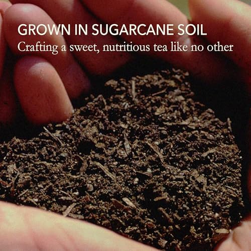 Vue 7 de Japanese Green Tea Co