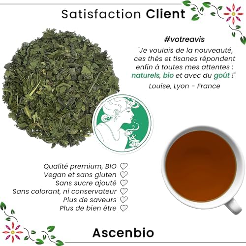 Vue 2 de Ascenbio The Vert Menthe