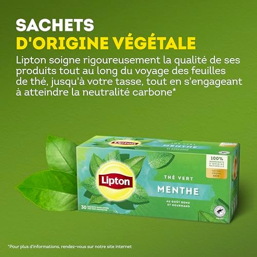 Vue 4 de Lipton The Vert The