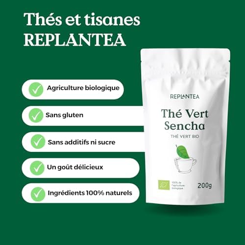 Vue 6 de The Vert Sencha Bio
