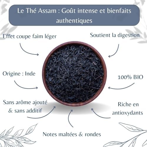 Vue 3 de The Noir Assam Gbop