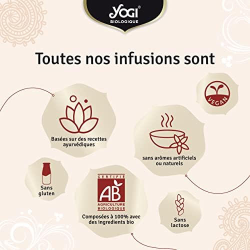 Vue 4 de Yogi Biologique Chai Aux