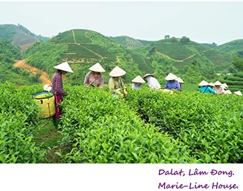 Vue 4 de The Bleu Oolong De